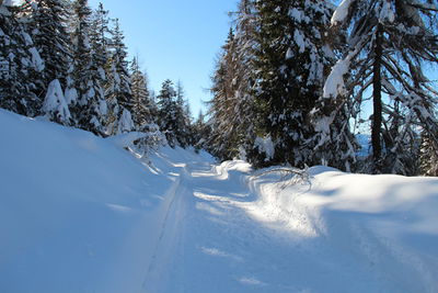 Rodelweg Vöraner Alm 2014-02-12.JPG