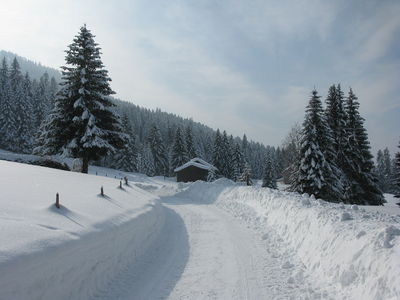 Rodelbahn Hochlitten-Elmauen-Moosalpe 2010-02-14.jpg