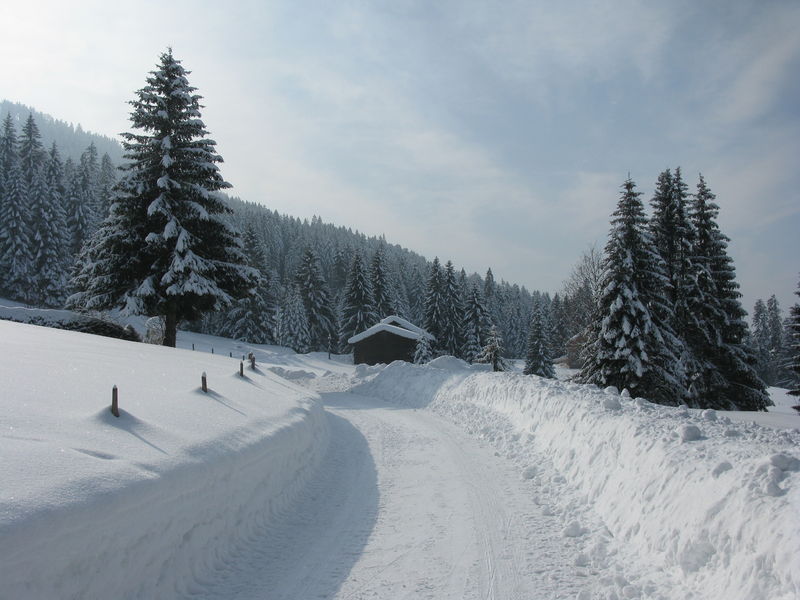 Datei:Rodelbahn Hochlitten-Elmauen-Moosalpe 2010-02-14.jpg