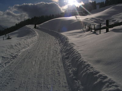 Rodelbahn Haagalm 2009-01-31 kurz vor alm.jpg