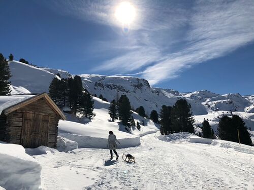 Rodelbahn Mölstal 2021-02-21 6.jpeg