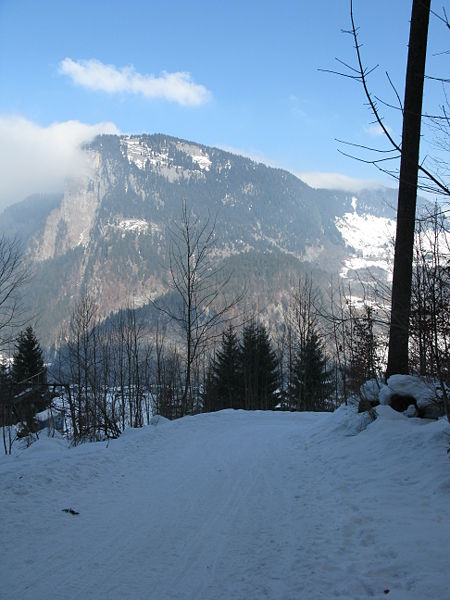 Datei:Rodelbahn Bergkristallhütte 2009-02-07.jpg