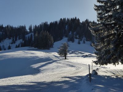 Rodelbahn Falkenhuette 2018-01-13.JPG