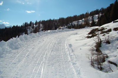 Rodelbahn Naturfreundehütte 2011-02-19.JPG