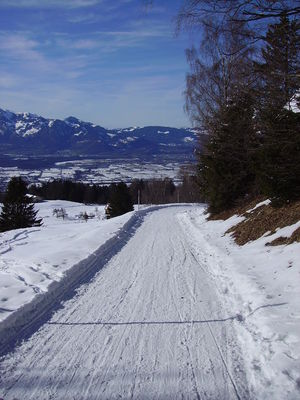 Übersaxen-Gulmalpe 2010-02-21.jpg