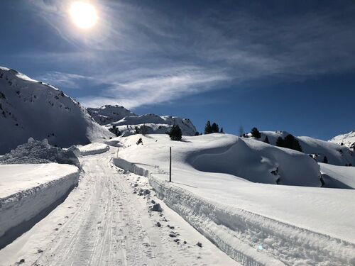 Rodelbahn Mölstal 2021-02-21 1.jpeg