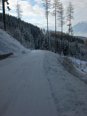die Rodelstrecke von der Rinner Alm im unteren Abschnitt