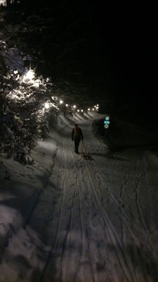 Rodelbahn Gschwend 2017-01-15.jpg