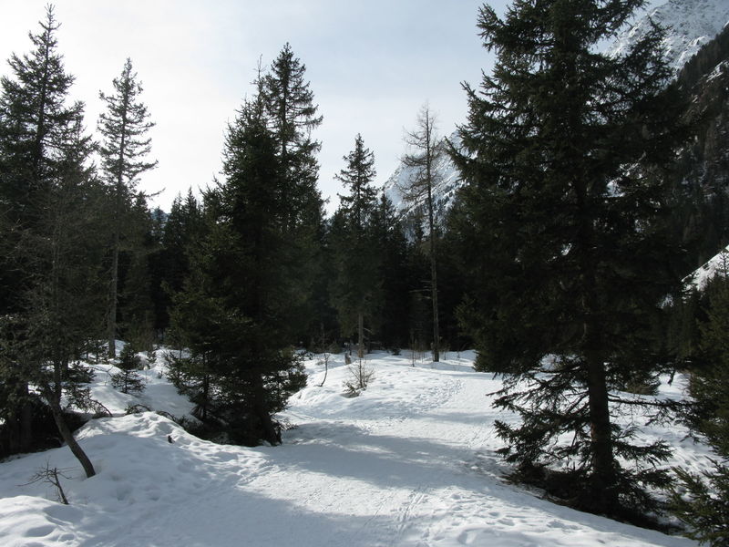 Datei:Rodelbahn Gleirschalm 2016-02-27 Aufstieg.jpg